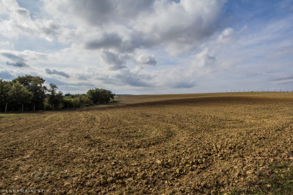 Anna-Mainenti-Podere-il-Casale-corporate-5.jpg