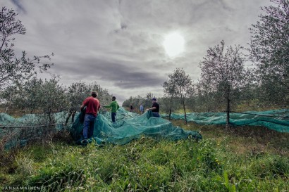 Anna-Mainenti-Podere-il-Casale-corporate-6.jpg